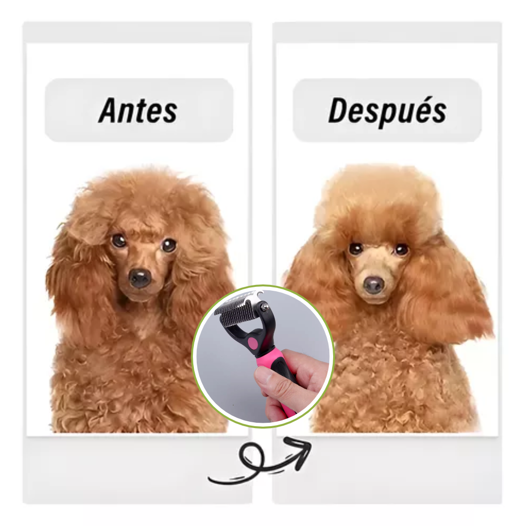 El cepillo que elimina el exceso de pelo de tu mascota fácil y rápido