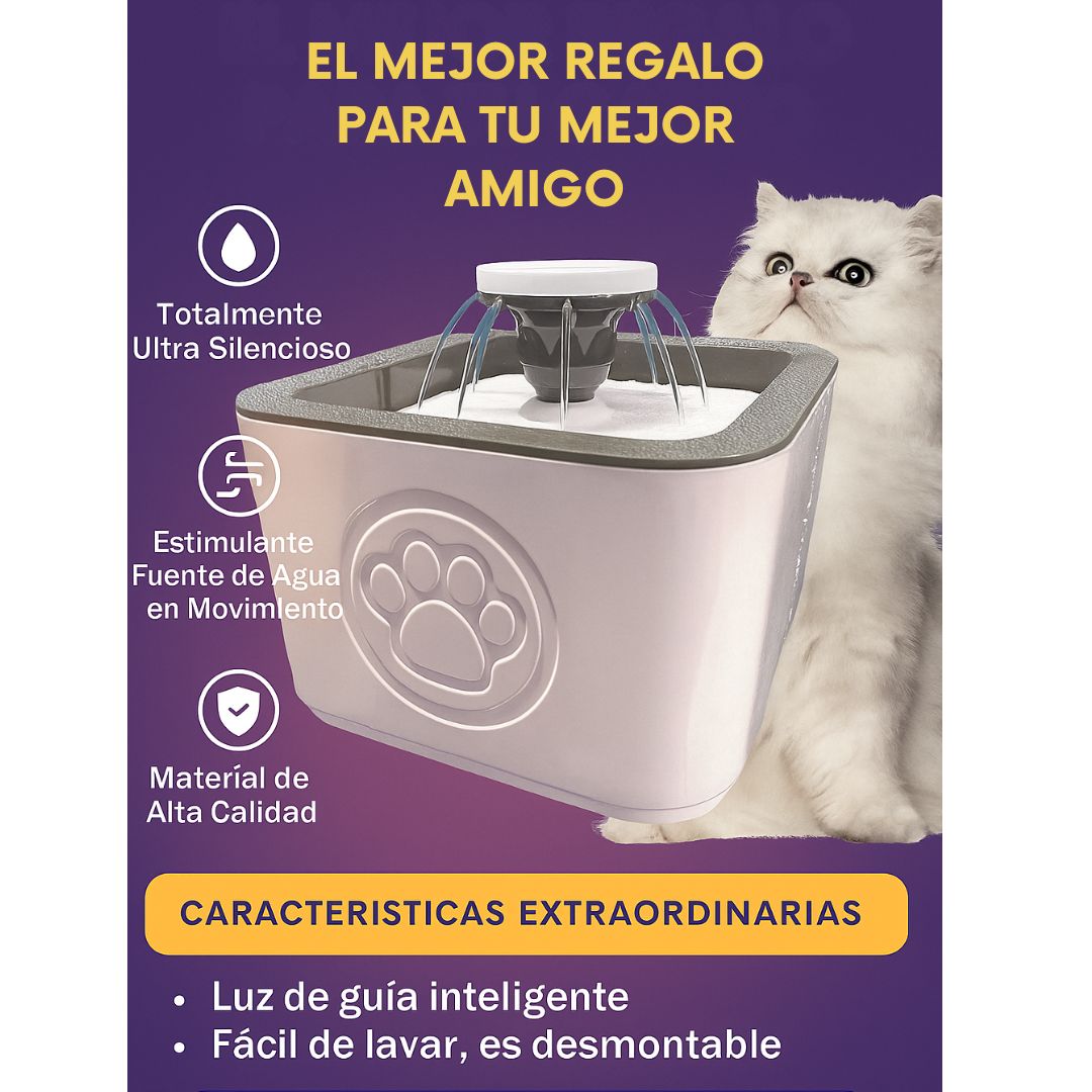 Encabezado