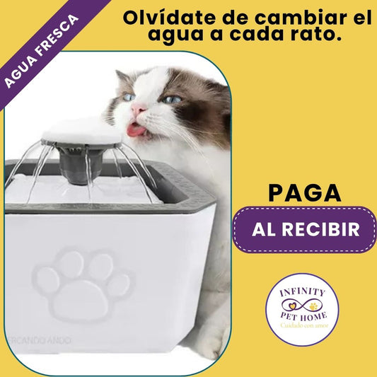 Fuente de agua premium