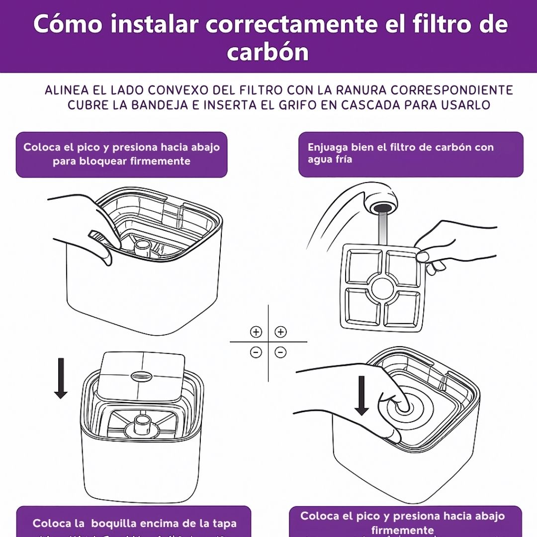 Encabezado