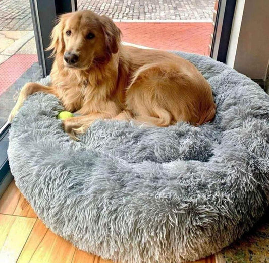 Camita Donut Antiestrés L #1 en Colombia