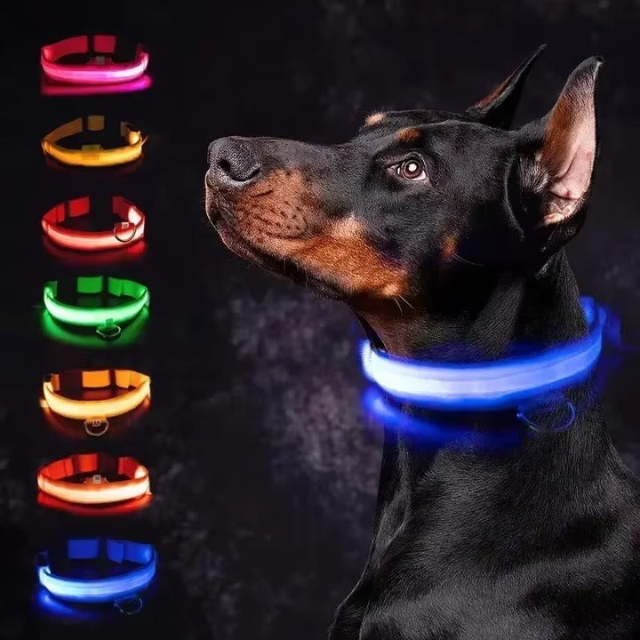 Collar Reflectante de Seguridad Nocturna